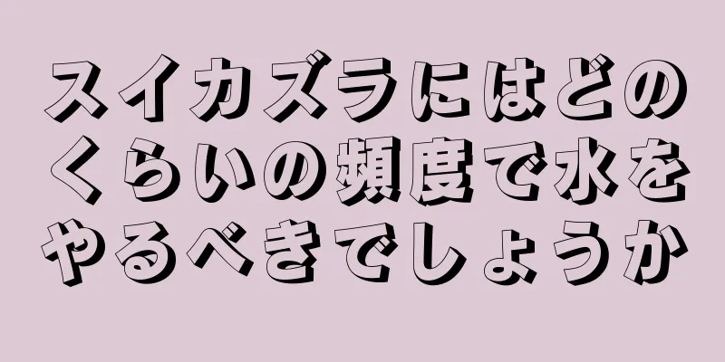 スイカズラにはどのくらいの頻度で水をやるべきでしょうか