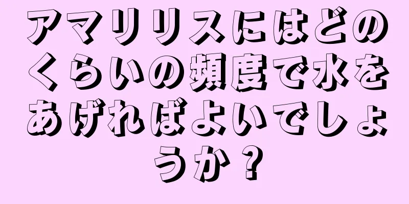アマリリスにはどのくらいの頻度で水をあげればよいでしょうか？