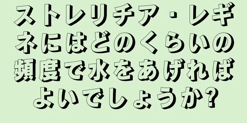 ストレリチア・レギネにはどのくらいの頻度で水をあげればよいでしょうか?