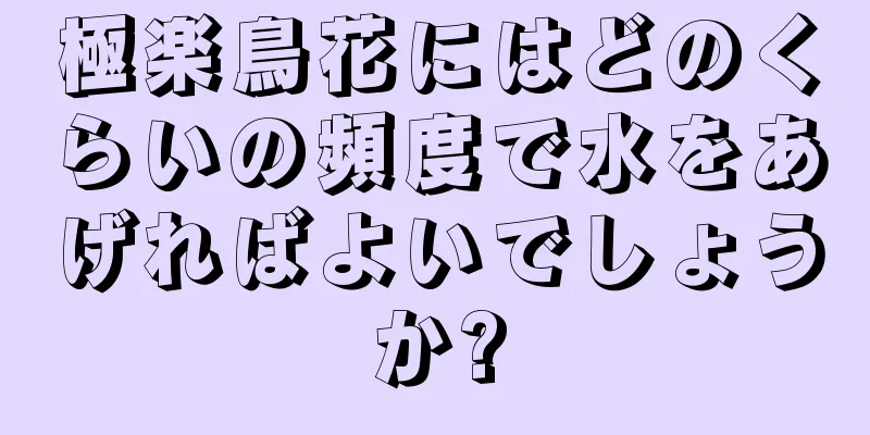 極楽鳥花にはどのくらいの頻度で水をあげればよいでしょうか?