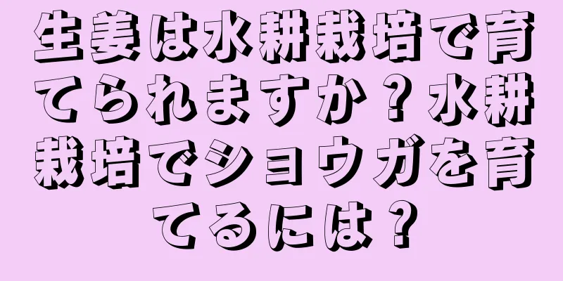 生姜は水耕栽培で育てられますか？水耕栽培でショウガを育てるには？
