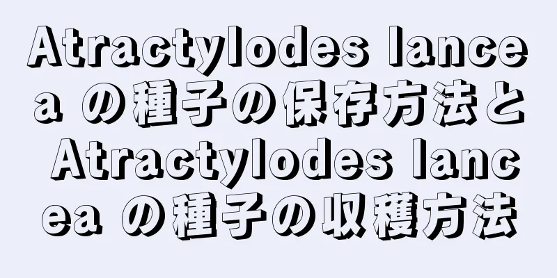 Atractylodes lancea の種子の保存方法と Atractylodes lancea の種子の収穫方法