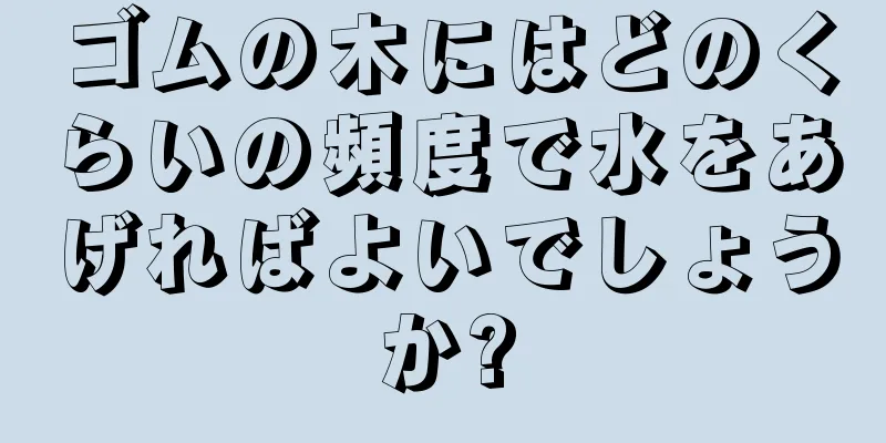 ゴムの木にはどのくらいの頻度で水をあげればよいでしょうか?