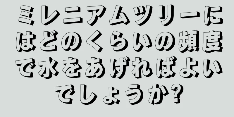 ミレニアムツリーにはどのくらいの頻度で水をあげればよいでしょうか?