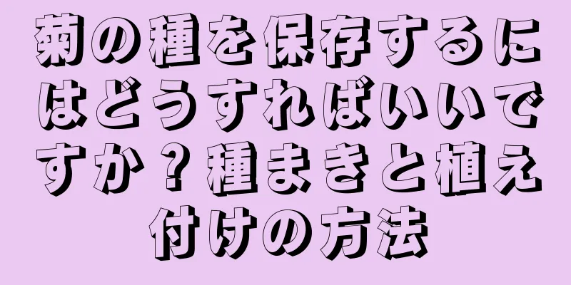 菊の種を保存するにはどうすればいいですか？種まきと植え付けの方法