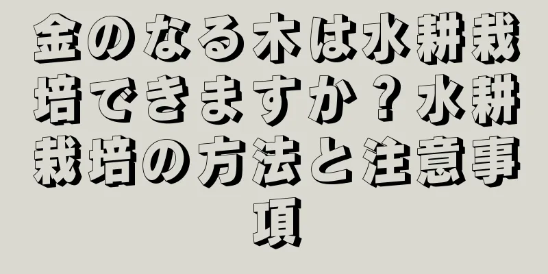 金のなる木は水耕栽培できますか？水耕栽培の方法と注意事項