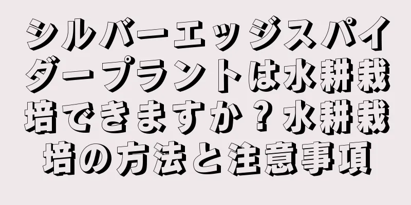 シルバーエッジスパイダープラントは水耕栽培できますか？水耕栽培の方法と注意事項