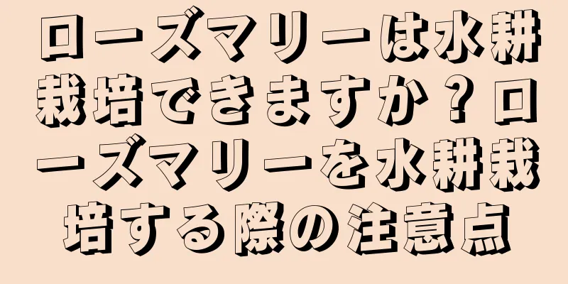ローズマリーは水耕栽培できますか？ローズマリーを水耕栽培する際の注意点
