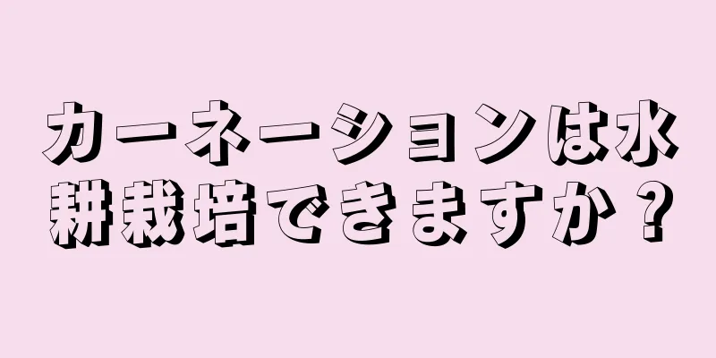 カーネーションは水耕栽培できますか？