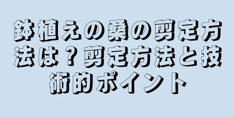 鉢植えの桑の剪定方法は？剪定方法と技術的ポイント
