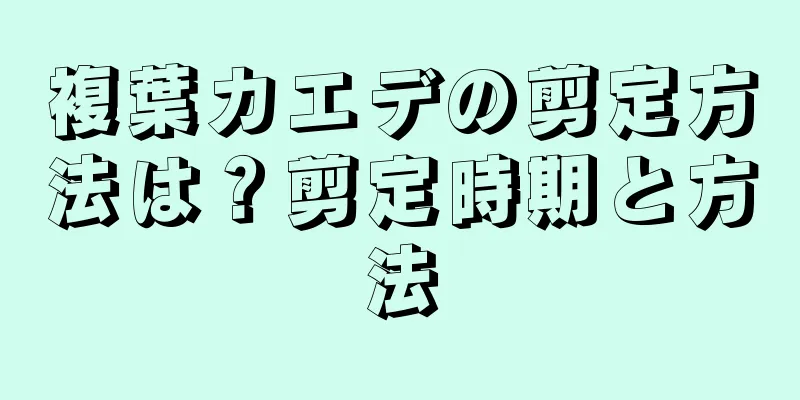 複葉カエデの剪定方法は？剪定時期と方法