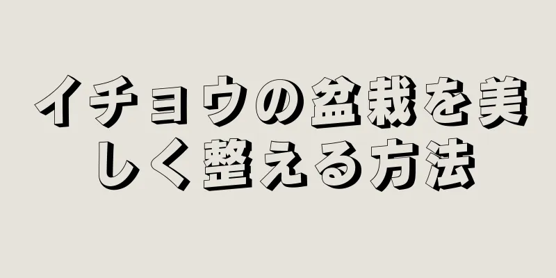 イチョウの盆栽を美しく整える方法