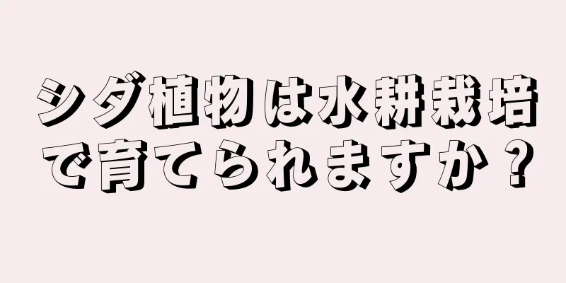 シダ植物は水耕栽培で育てられますか？