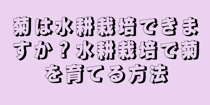 菊は水耕栽培できますか？水耕栽培で菊を育てる方法