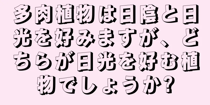 多肉植物は日陰と日光を好みますが、どちらが日光を好む植物でしょうか?