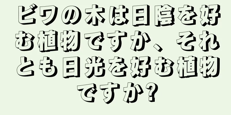 ビワの木は日陰を好む植物ですか、それとも日光を好む植物ですか?
