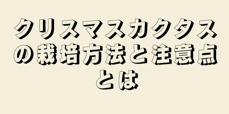 クリスマスカクタスの栽培方法と注意点とは