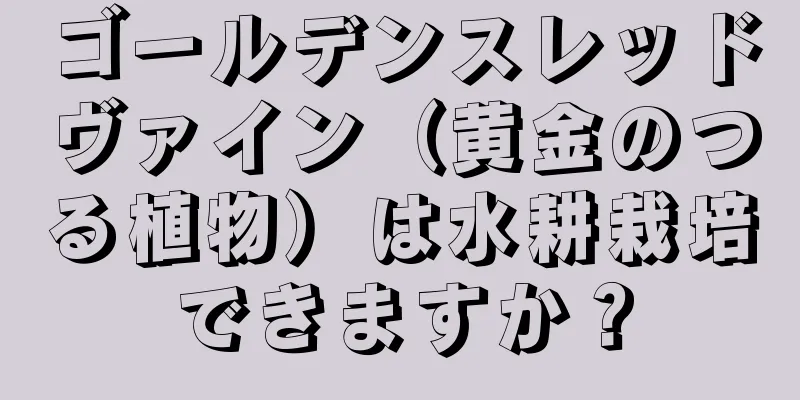 ゴールデンスレッドヴァイン（黄金のつる植物）は水耕栽培できますか？