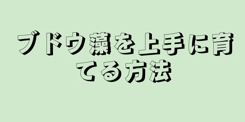 ブドウ藻を上手に育てる方法