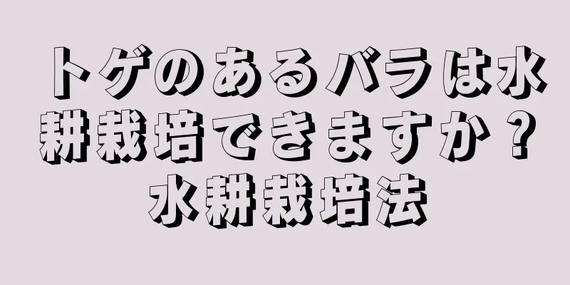 トゲのあるバラは水耕栽培できますか？水耕栽培法
