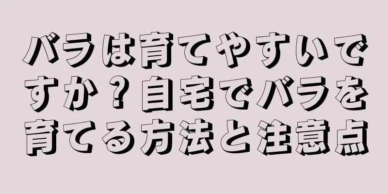 バラは育てやすいですか？自宅でバラを育てる方法と注意点