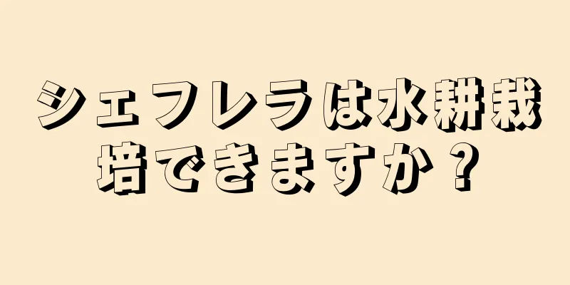 シェフレラは水耕栽培できますか？