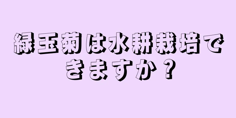 緑玉菊は水耕栽培できますか？
