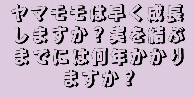 ヤマモモは早く成長しますか？実を結ぶまでには何年かかりますか？
