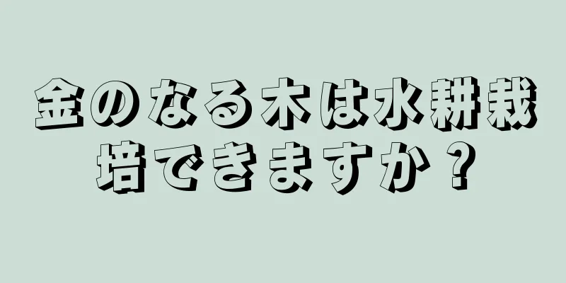金のなる木は水耕栽培できますか？