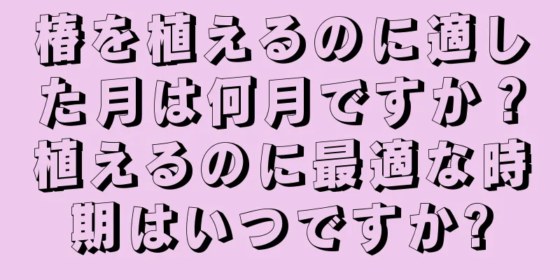 椿を植えるのに適した月は何月ですか？植えるのに最適な時期はいつですか?