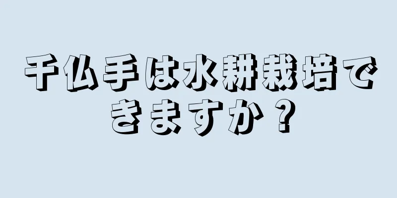 千仏手は水耕栽培できますか？