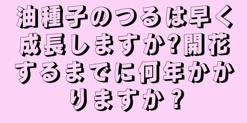 油種子のつるは早く成長しますか?開花するまでに何年かかりますか？