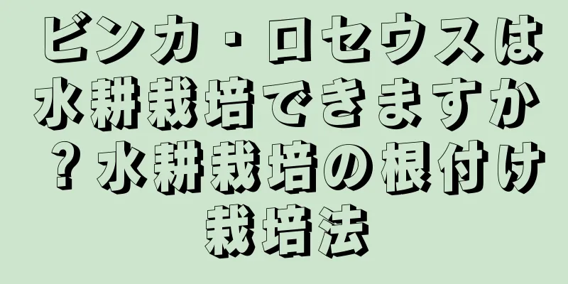 ビンカ・ロセウスは水耕栽培できますか？水耕栽培の根付け栽培法