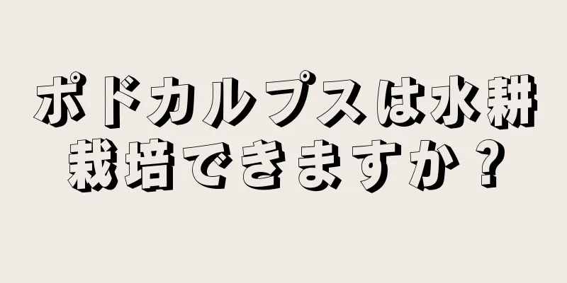 ポドカルプスは水耕栽培できますか？