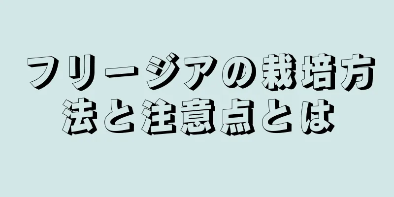 フリージアの栽培方法と注意点とは
