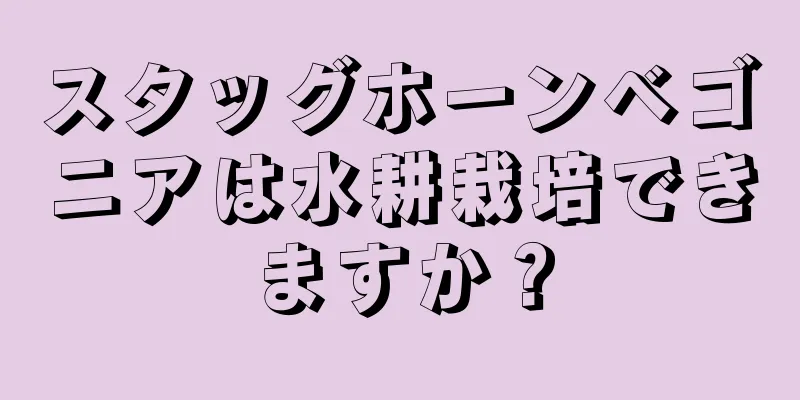 スタッグホーンベゴニアは水耕栽培できますか？