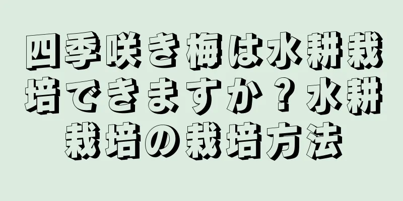四季咲き梅は水耕栽培できますか？水耕栽培の栽培方法