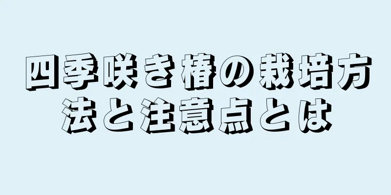 四季咲き椿の栽培方法と注意点とは