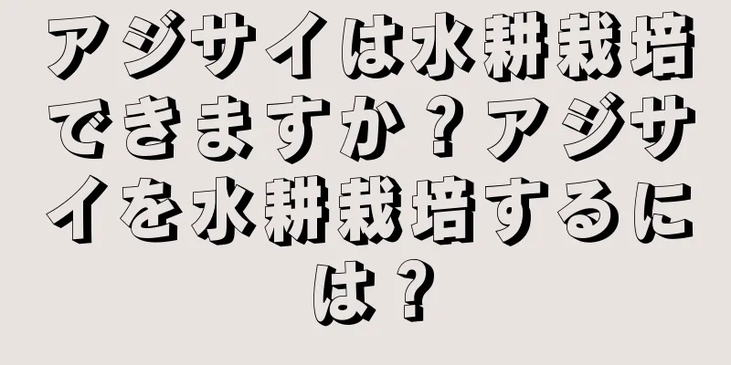アジサイは水耕栽培できますか？アジサイを水耕栽培するには？
