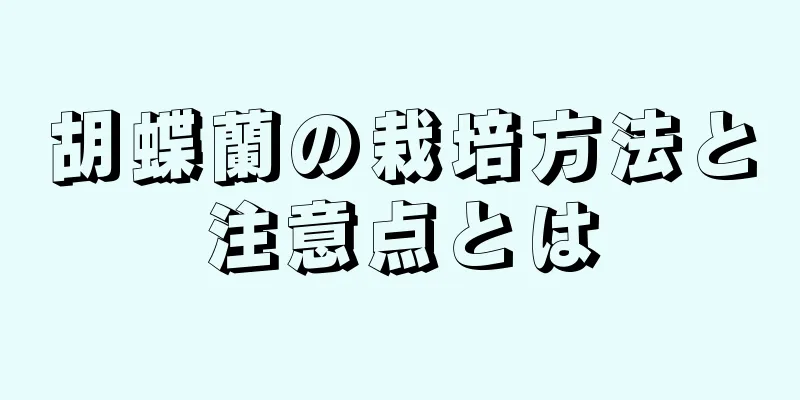 胡蝶蘭の栽培方法と注意点とは