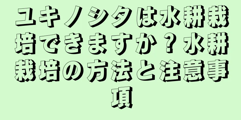 ユキノシタは水耕栽培できますか？水耕栽培の方法と注意事項