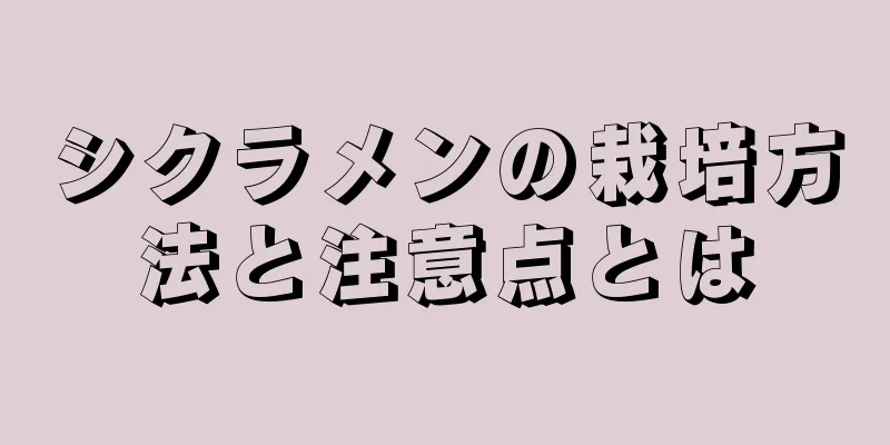 シクラメンの栽培方法と注意点とは