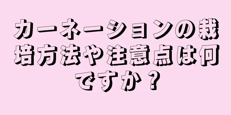 カーネーションの栽培方法や注意点は何ですか？