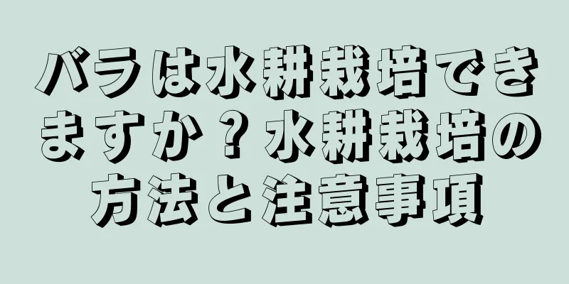 バラは水耕栽培できますか？水耕栽培の方法と注意事項