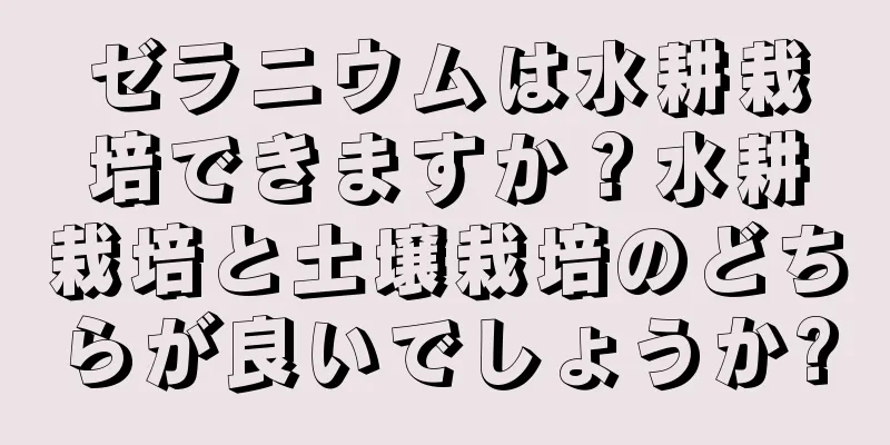 ゼラニウムは水耕栽培できますか？水耕栽培と土壌栽培のどちらが良いでしょうか?