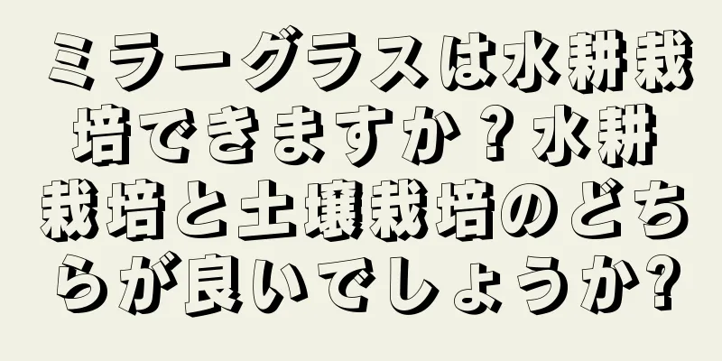ミラーグラスは水耕栽培できますか？水耕栽培と土壌栽培のどちらが良いでしょうか?