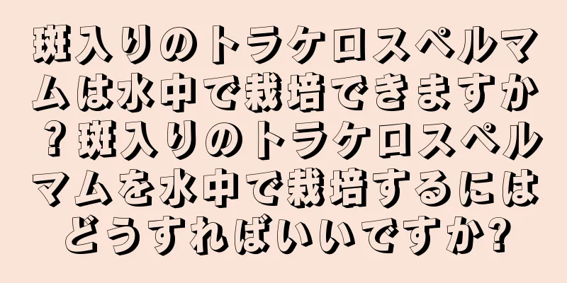 斑入りのトラケロスペルマムは水中で栽培できますか？斑入りのトラケロスペルマムを水中で栽培するにはどうすればいいですか?