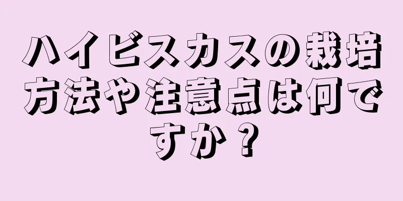 ハイビスカスの栽培方法や注意点は何ですか？