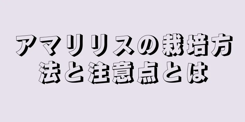 アマリリスの栽培方法と注意点とは