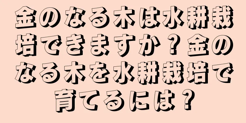金のなる木は水耕栽培できますか？金のなる木を水耕栽培で育てるには？